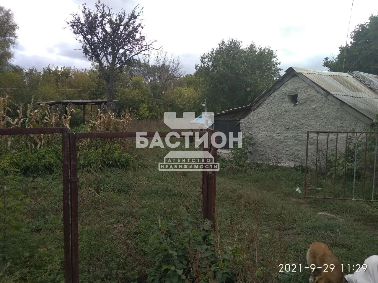 Дом, Россия муниципальный округ Краснодонский, село Красное , ID: 2248812