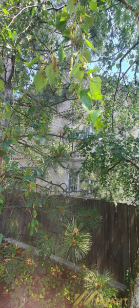 Дом г. Перевальск#1347