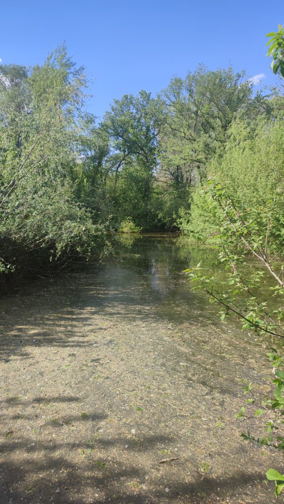 Фото № 339 Продаётся Дом, пгт. Бугаёвка.