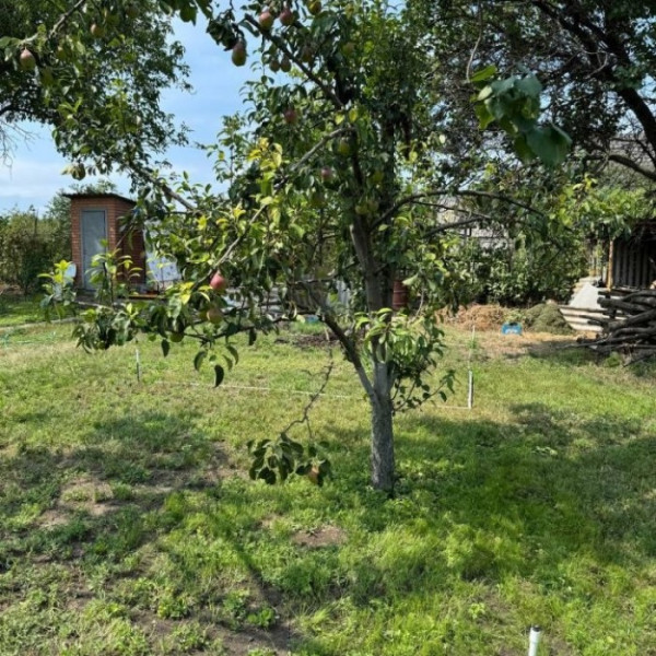 Фото Продам дом 243 м2 в городе Луганск район Владимирского Собора