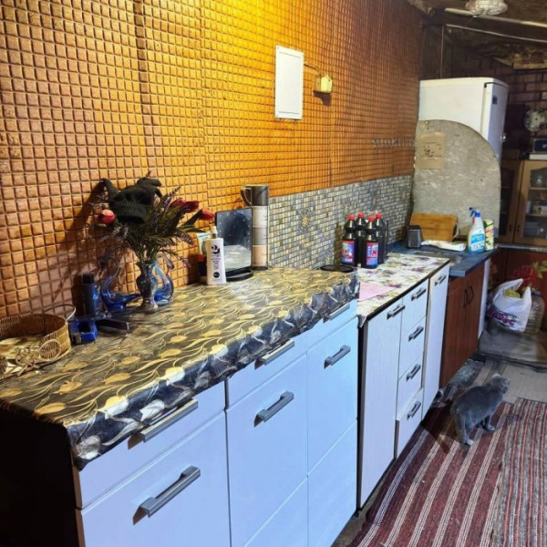 Фото № 6366 Продам дом на Васильевке