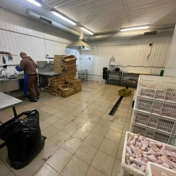 Фото Цена снижена с 35 млн. до 30 млн. руб. Продам готовый арендный бизнес (полностью арендована на долгий срок), база с морозильно- холодильным оборудованием, г. Луганск, с. Роскошное