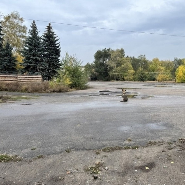 Фото Склад- 300м2 г. Александровск