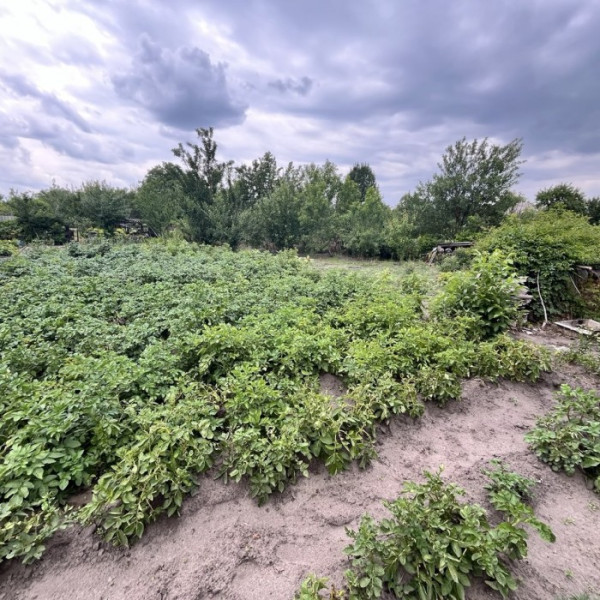 Фото Продам дом в Станице Луганской, ул. Лесная