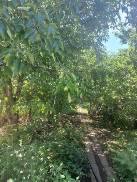Фото #1339, Дом в Артёмовске