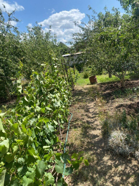 Фото № 834 Продается 3-х эт. дача, общество МОТОР