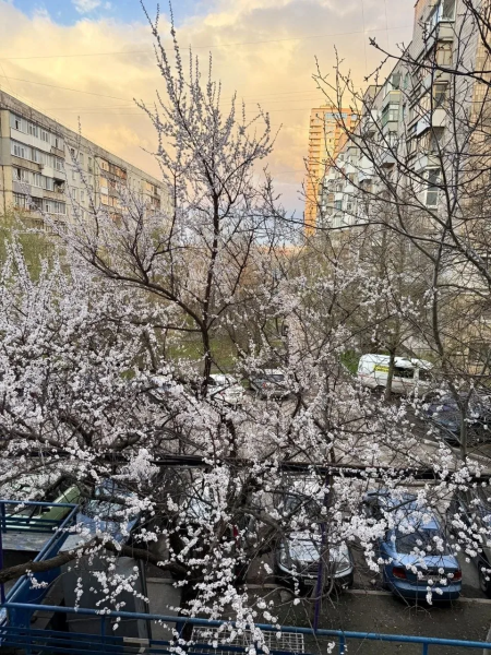 Фото 3-комнатная квартира, ул. Героя России Зозулина В.Н.! Район ТЦ Кристалл !