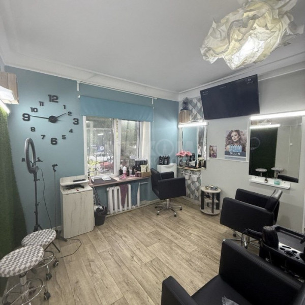 Фото САЛОН КРАСОТЫ 44м2 рн. Львиное Сердце