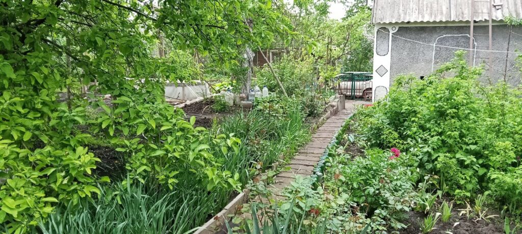 Фото Дача СНТ Домостроитель