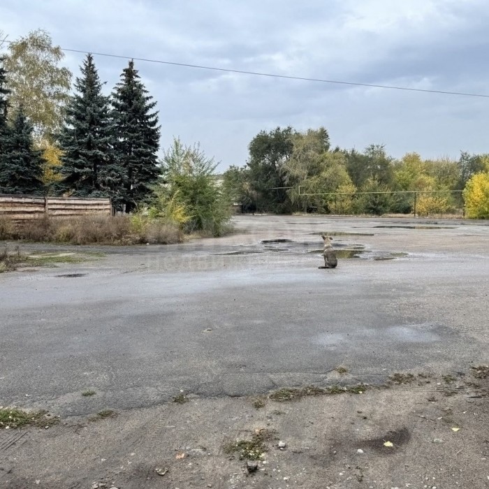 Фото Склад- 300м2 г. Александровск