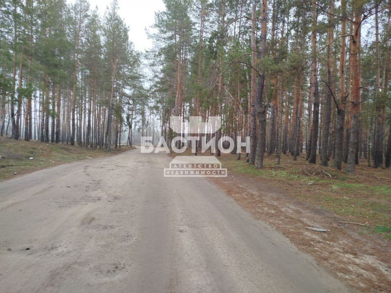 Фото Земельный участок,Россия муниципальный округ Станично -Луганское село Макарово ID:1960126
