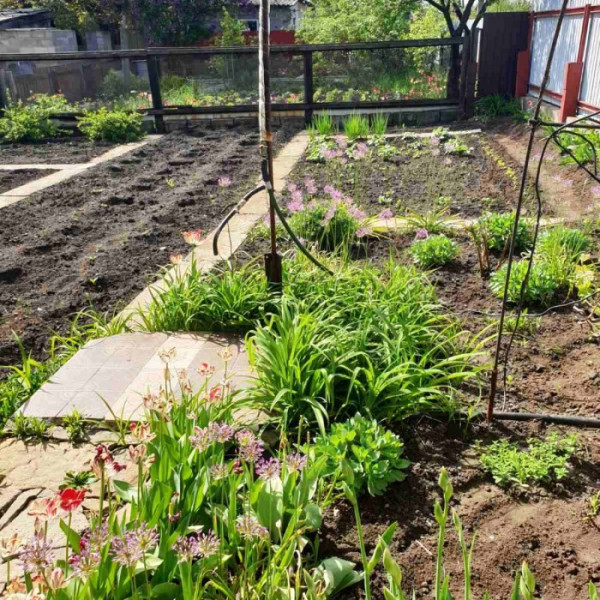 Фото № 4521 Продам дом в р-не Автовокзала