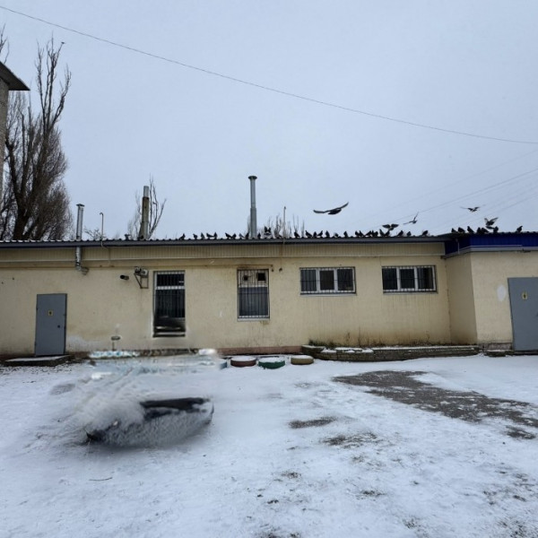 Продам отдельностоящее здание 294м2