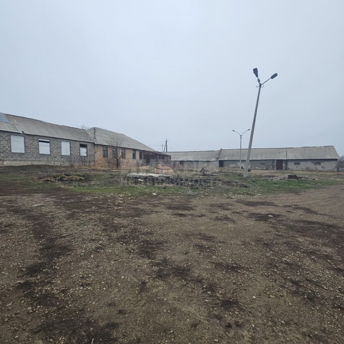 Фото Продам Маслобойню (подсолнечника) г. Краснодон