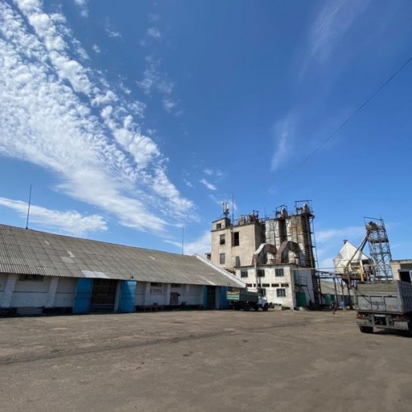 Фото Продам производственный цех ( ток для обработки зерновых) в Луганской области