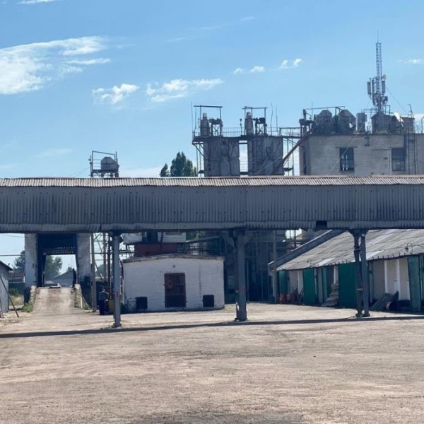 Фото Продам производственный цех ( ток для обработки зерновых) в Луганской области