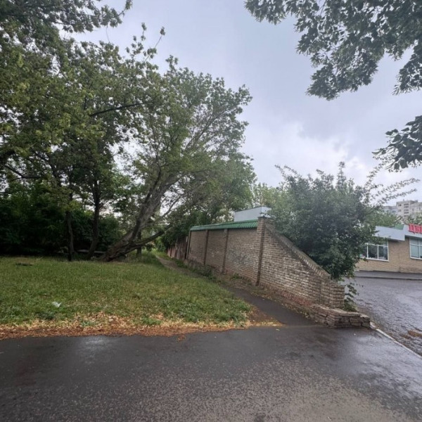 Фото Продам Участок 10 сот. ул. Братьев Палкиных Центр Города