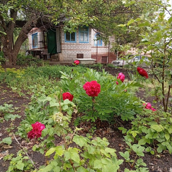 Фото Продам 2-х эт. дачу с. Жёлтое, кооператив «Заря»