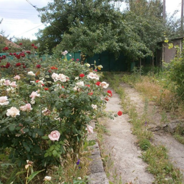 Фото Продам дом по ул. Интернациональная , 67м2, 5 соток