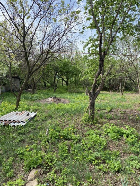 Фото #1246, Дом на Шанхае