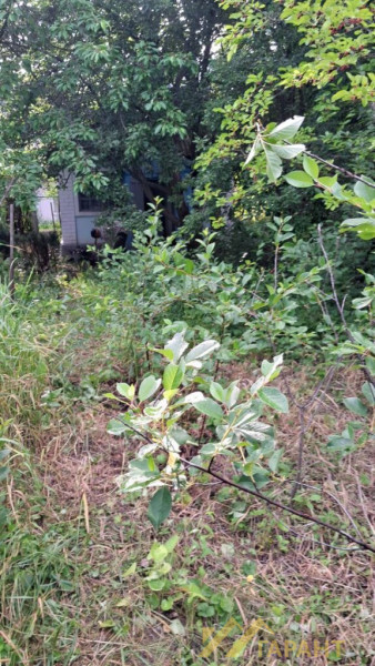 Фото Дача на Исаковском водохранилище #1339