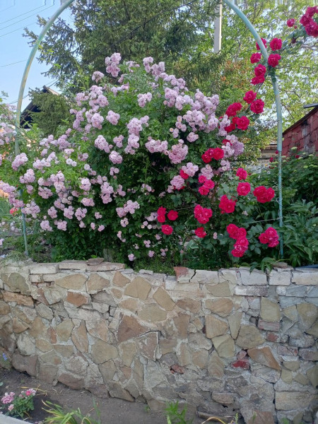 Фото № 925 Продаётся 3-х этажная дача, общ-во “Домостроитель”, 4 линия (со стороны Алексеевки)