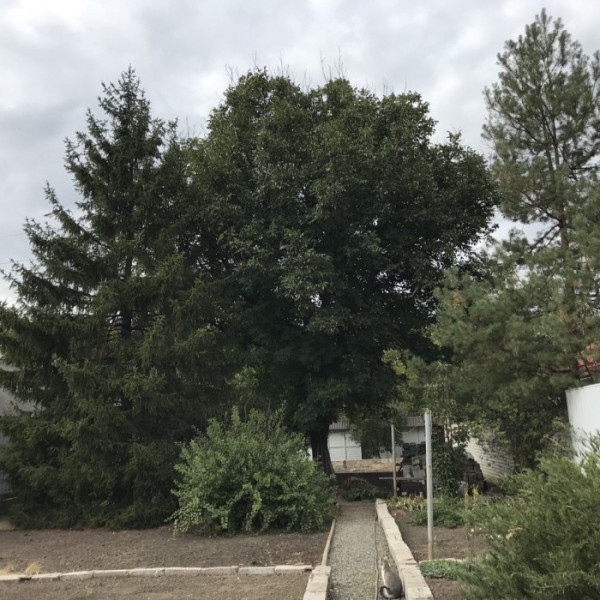 Фото Продам дом в городе Луганск поселок Косиора