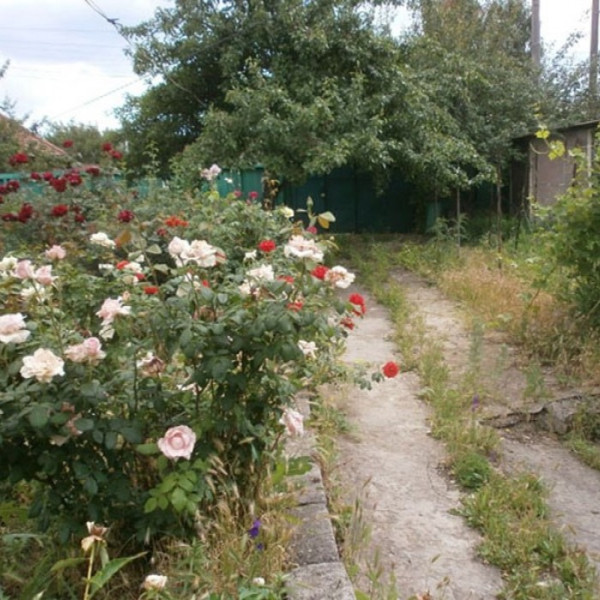 Фото Продам дом в г. Луганск ул. Интернациональная