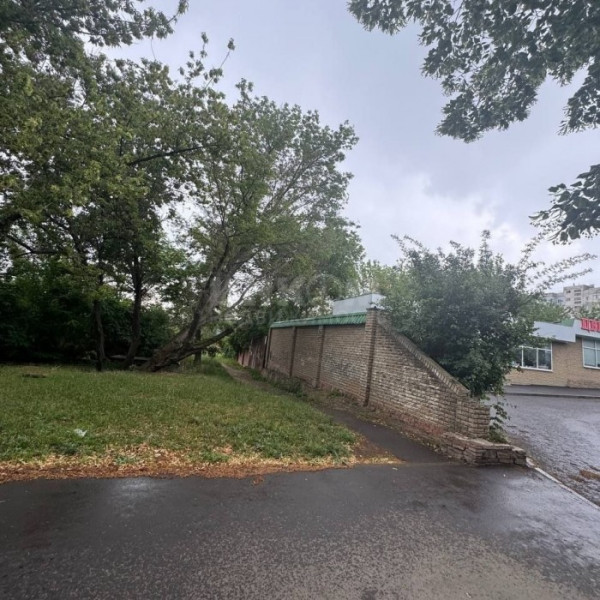 Фото Продам Участок 10 сот. ул. Братьев Палкиных Центр Города