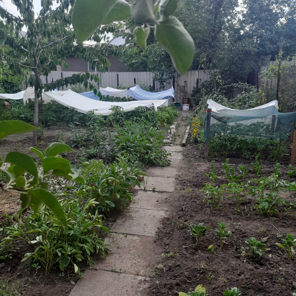 Фото №842 Продаётся ДОМ на Лимане, ул.Глинки