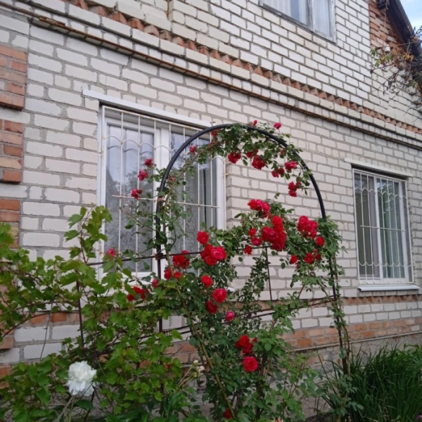 Фото Продам дом 76м2, 6 соток