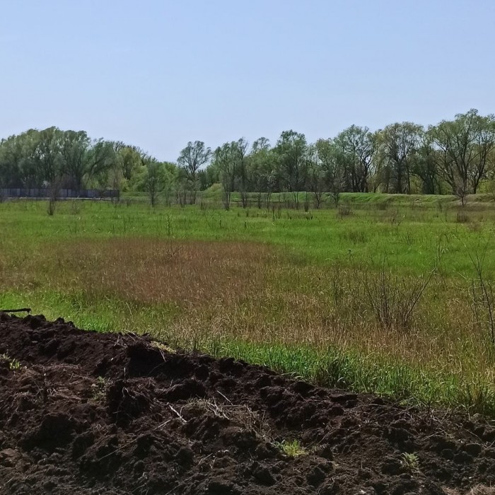 Продам земельный участок в с. Роскошное.
