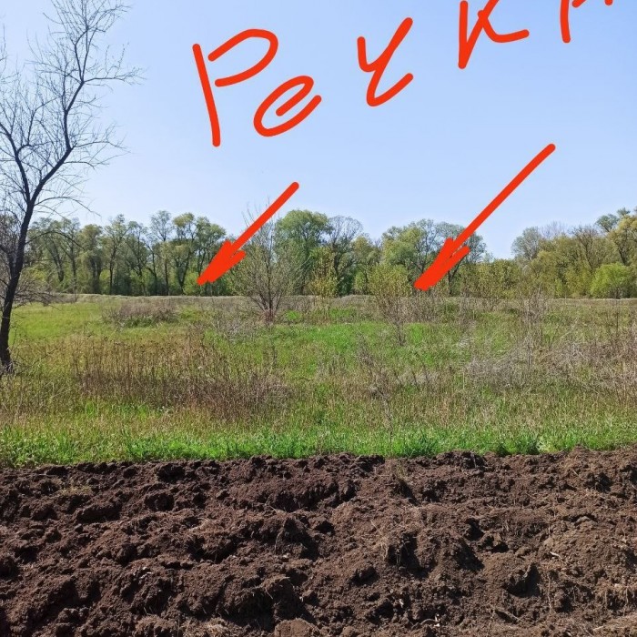 Фото Продам земельный участок в с. Роскошное.