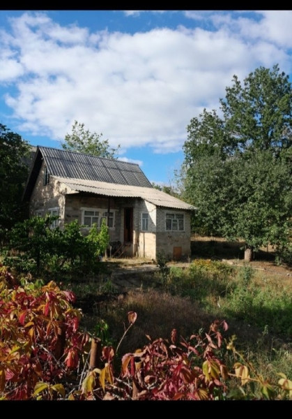 Дача №3005608