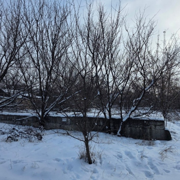 Фото Продам участок в г. Луганск ул. Звейнека