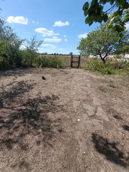 Фото Дом с. Приветное
