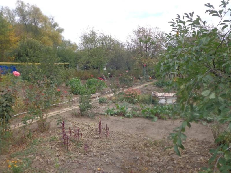 Фото Дача СНТ Водник-1#1539