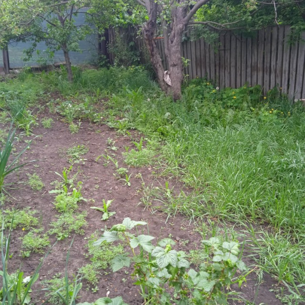 Фото № 7169 Продам дом в р-не Депо