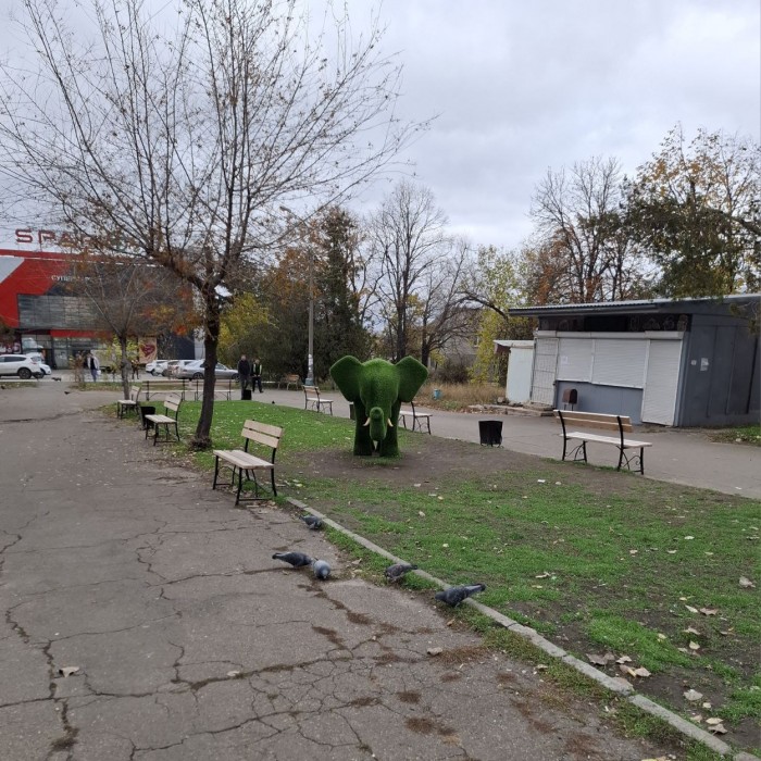 Фото Сдам в аренду помещение кв. Молодёжный, возле супермаркета "SPAR" (бывший к-р "Аврора")