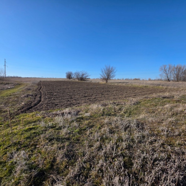 Фото Продам участок в г. Луганск, Роскошное ул. Тельмана