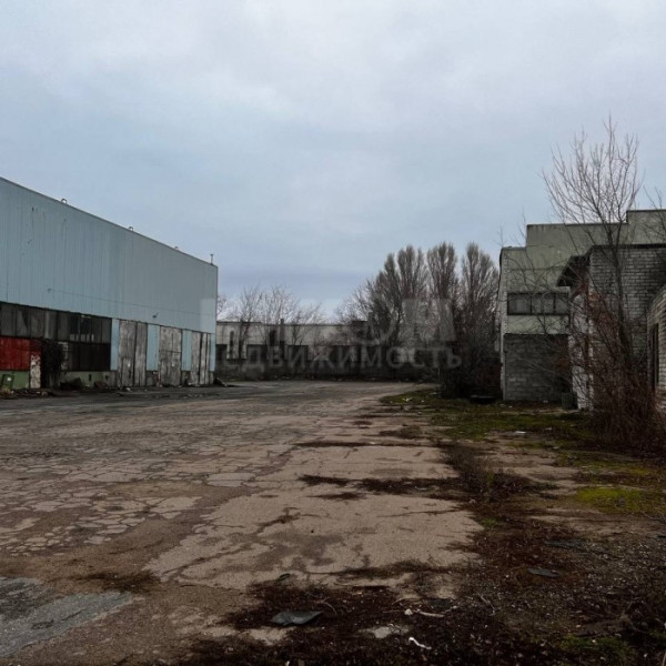 Фото База 2323-м2 рн. кафе Аквариус