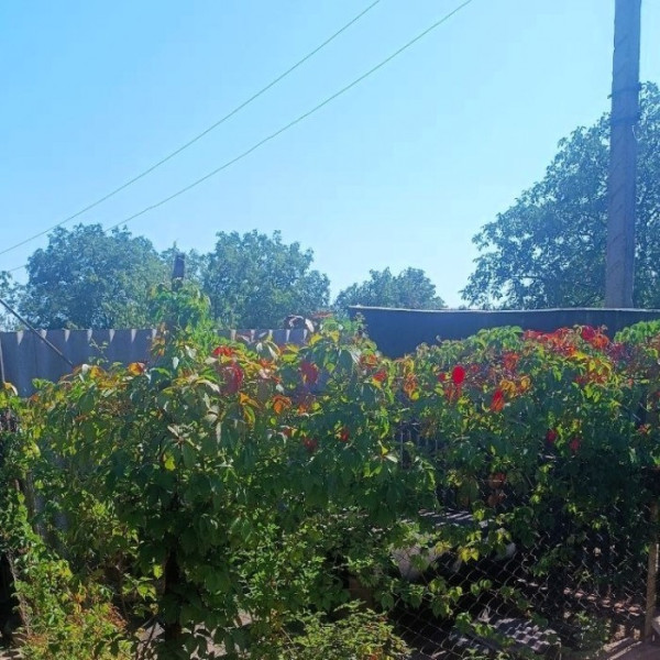 Фото № 6751 Продам 1/2 дома