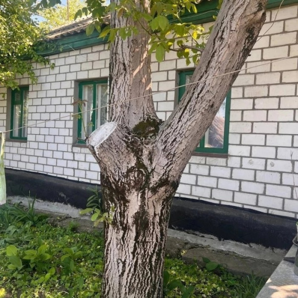 Продам 2 дома на участке в городе Луганск улица 22 Линия