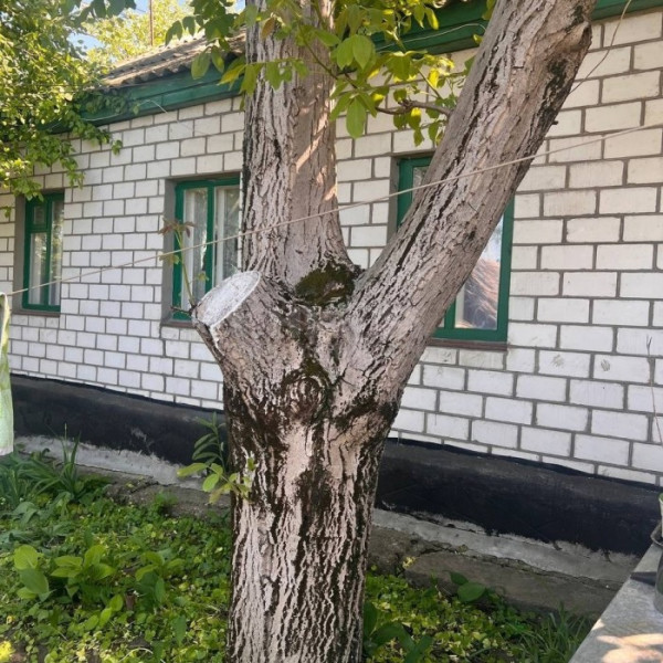 Продам 2 Дома 22-я Линия Центр Города